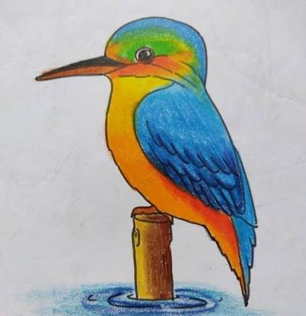 Colorful bird drawing made in an art class
